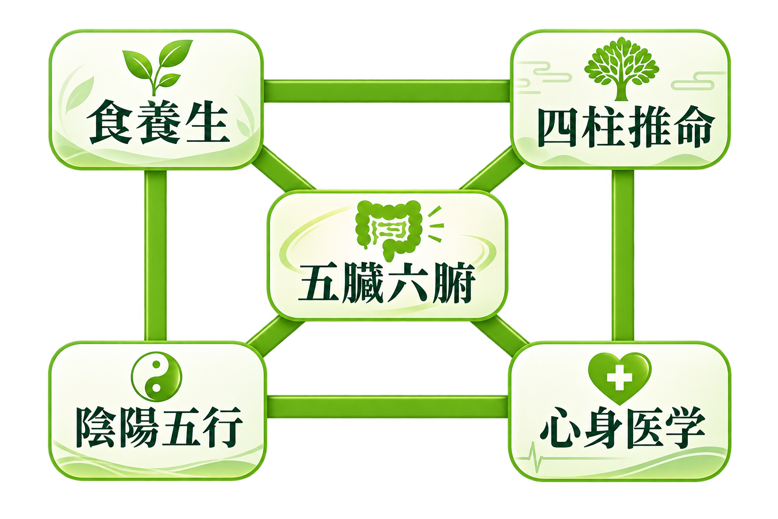 臓活の基本を構成する食養生、四柱推命、五臓六腑、陰陽五行、心身医学の相関図